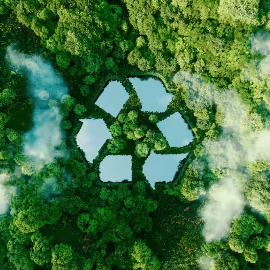 Sustainable packaging circular economy — eco-friendly recycling PackPro FSC certified