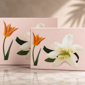 Collapsible Rigid Box | Premium Foldable Rigid Packaging for High-End Products